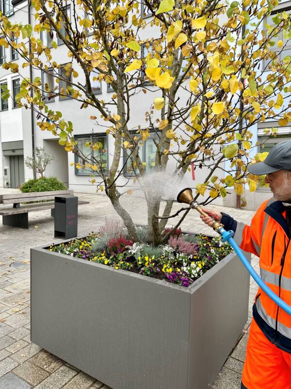 Die Blumen in einem der neuen Pflanztröge werden eingegossen.